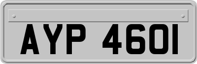 AYP4601