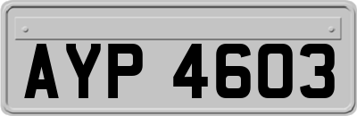 AYP4603