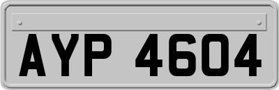 AYP4604
