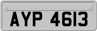 AYP4613