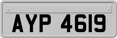 AYP4619