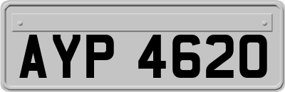 AYP4620