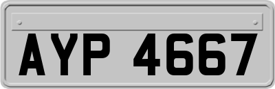 AYP4667