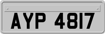 AYP4817