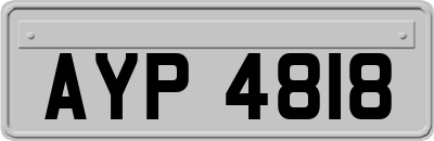 AYP4818