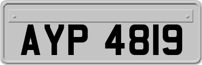 AYP4819