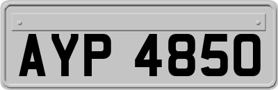 AYP4850