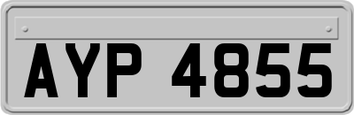 AYP4855