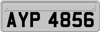 AYP4856