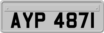 AYP4871