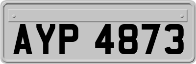 AYP4873