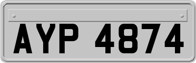 AYP4874