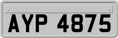 AYP4875