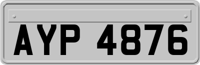 AYP4876