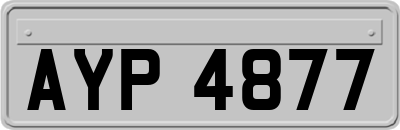 AYP4877