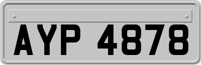 AYP4878