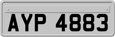 AYP4883