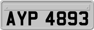 AYP4893