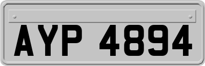 AYP4894