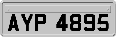AYP4895