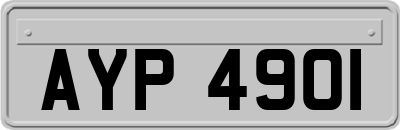 AYP4901