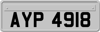 AYP4918