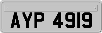 AYP4919