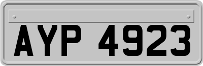 AYP4923