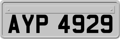 AYP4929