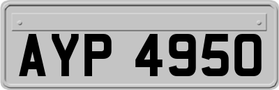 AYP4950