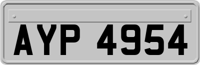 AYP4954
