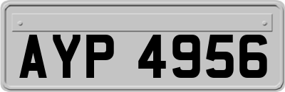 AYP4956