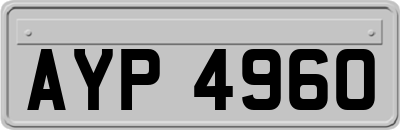 AYP4960