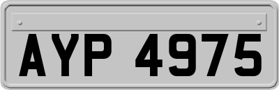 AYP4975