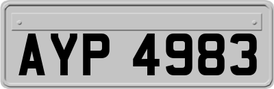 AYP4983