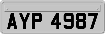 AYP4987
