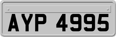 AYP4995
