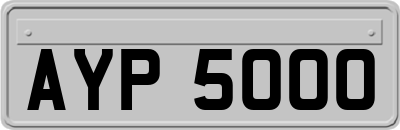 AYP5000