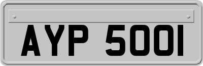 AYP5001