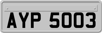 AYP5003