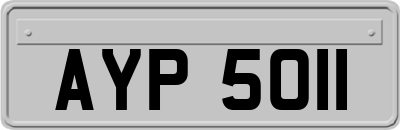 AYP5011