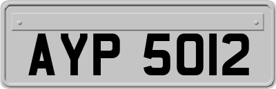 AYP5012