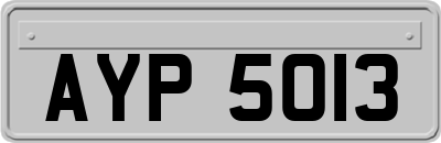 AYP5013