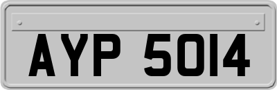 AYP5014