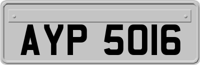 AYP5016