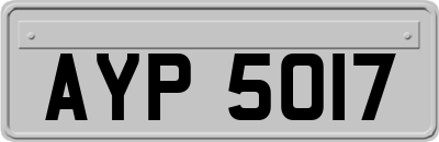 AYP5017