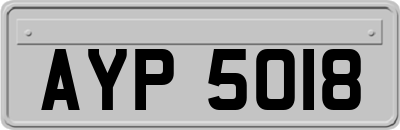AYP5018