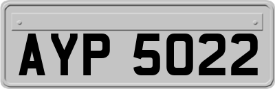 AYP5022