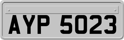 AYP5023