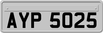 AYP5025
